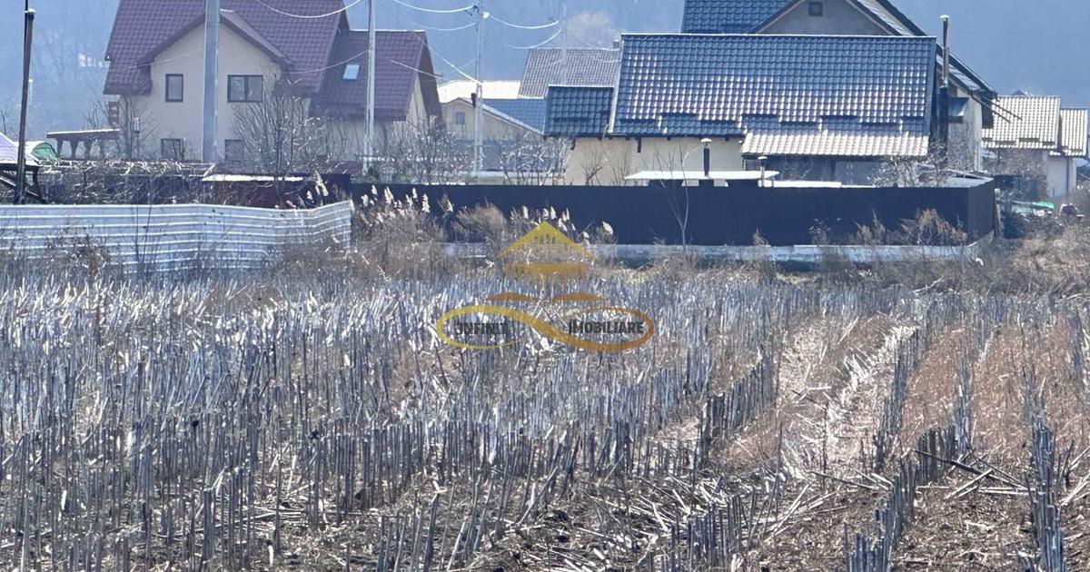 Teren Construcții intravilan de 3600 mp, în Hemeiuș