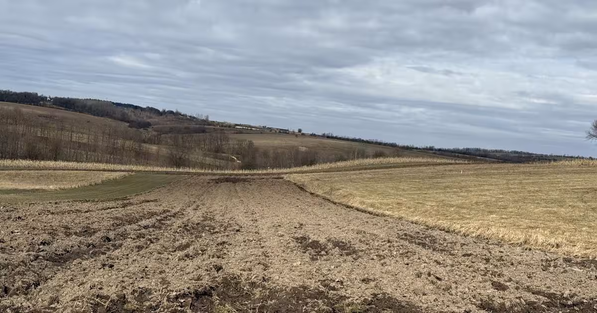 Teren Construcții intravilan de 1556 mp, în Horodnic de Jos