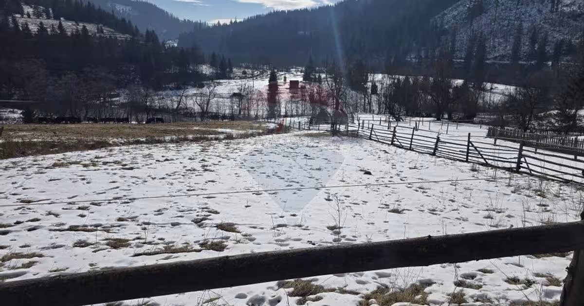 Teren Construcții intravilan de 3486 mp, în Iacobeni