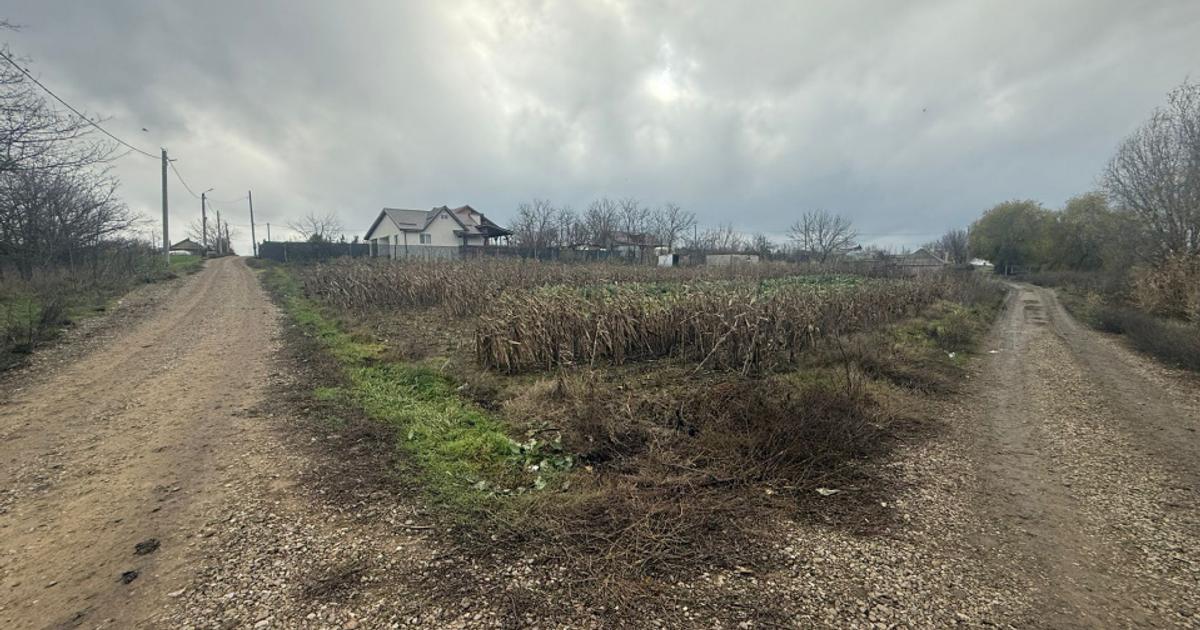 Teren Construcții intravilan de 2000 mp, în Ileana