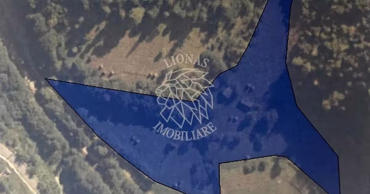 Teren Construcții intravilan de 17898 mp, în Ilva Mică