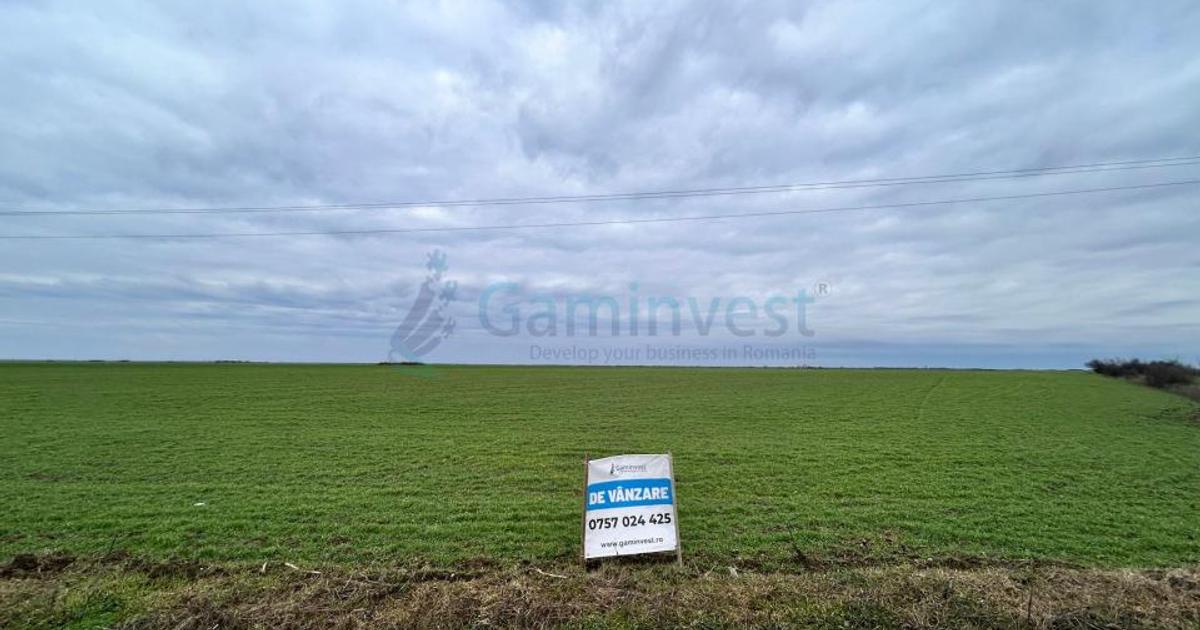 Teren Construcții intravilan de 9125 mp, în Leș