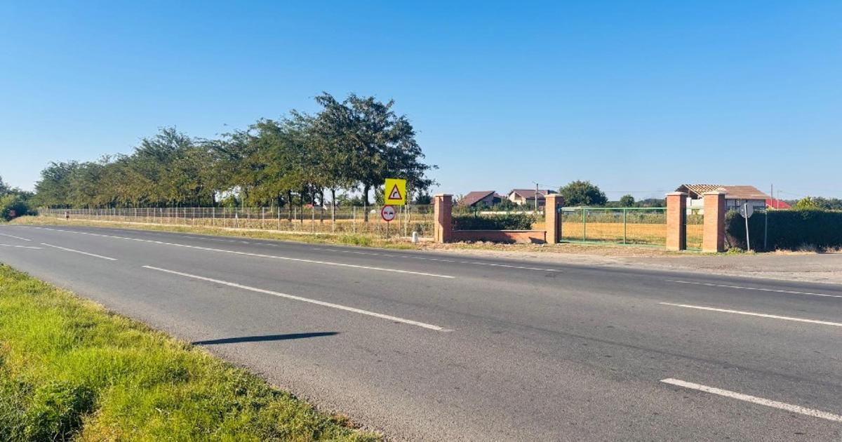 Teren Construcții intravilan de 10000 mp, în Lilieci