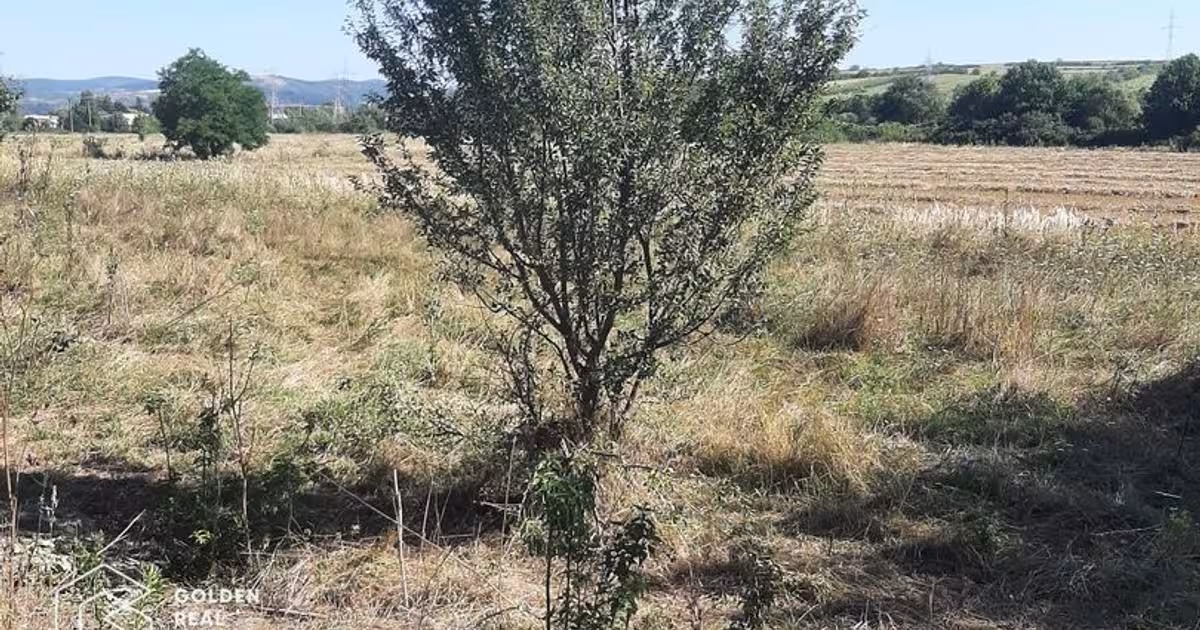 Teren Construcții intravilan de 1300 mp, în zona Exterior Vest, Lipova