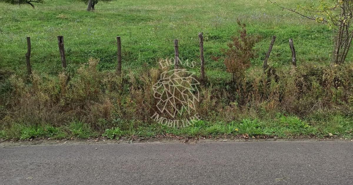 Teren Construcții intravilan de 12600 mp, în Livezile