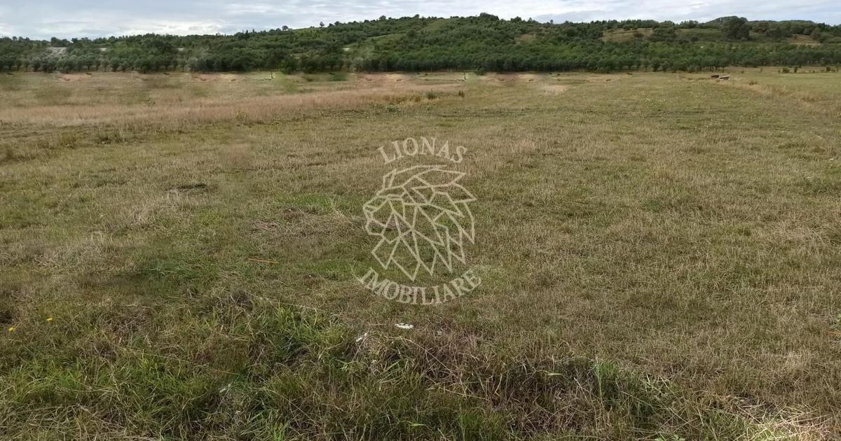 Teren Construcții intravilan de 5000 mp, în Livezile