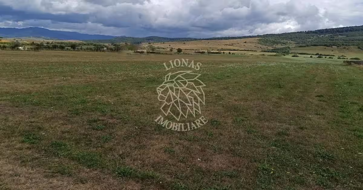 Teren Construcții intravilan de 5217 mp, în Livezile