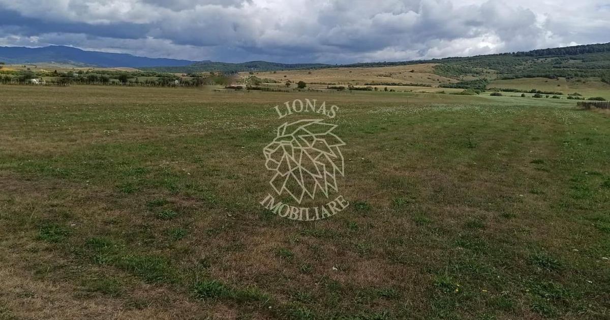 Teren Construcții intravilan de 5217 mp, în Livezile