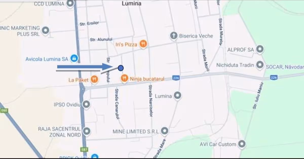 Teren Construcții intravilan de 3000 mp, în Lumina