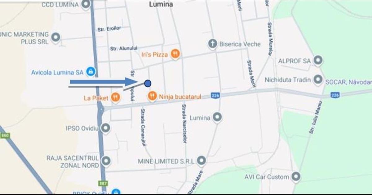 Teren Construcții intravilan de 3000 mp, în Lumina