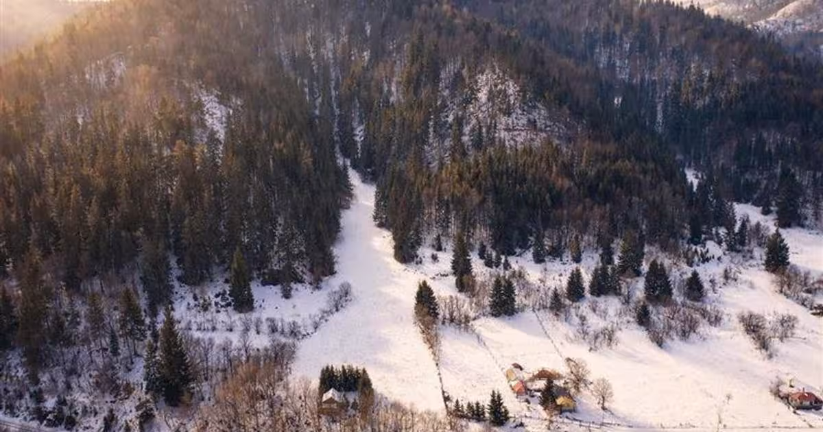 Teren Construcții intravilan de 7800 mp, în Lunca Bradului