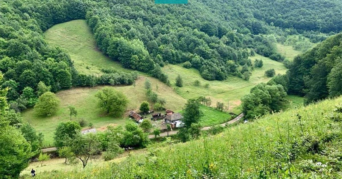 Teren Construcții intravilan de 13199 mp, în Luncoiu de Jos