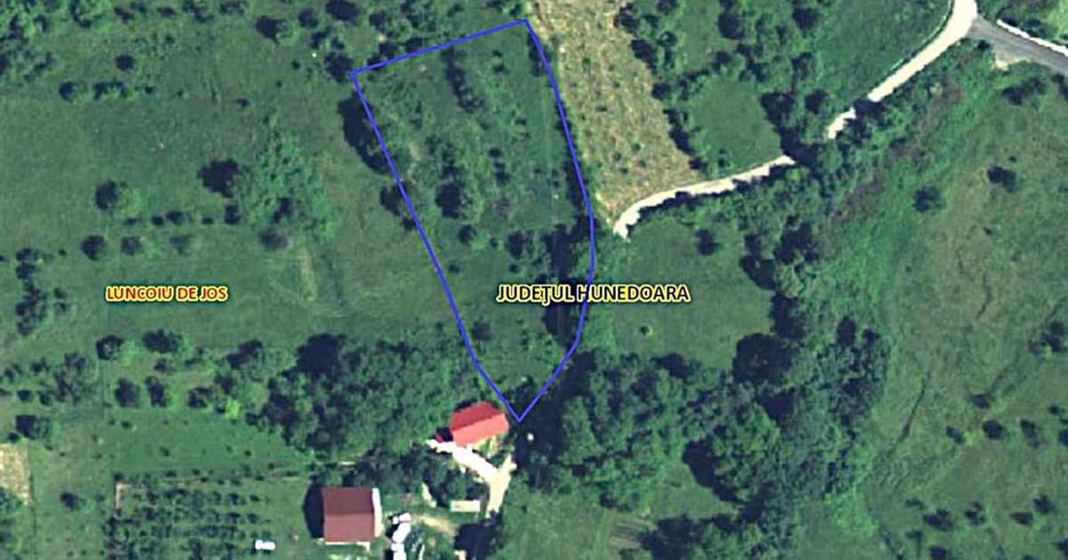 Teren Construcții intravilan de 3282 mp, în Luncoiu de Sus