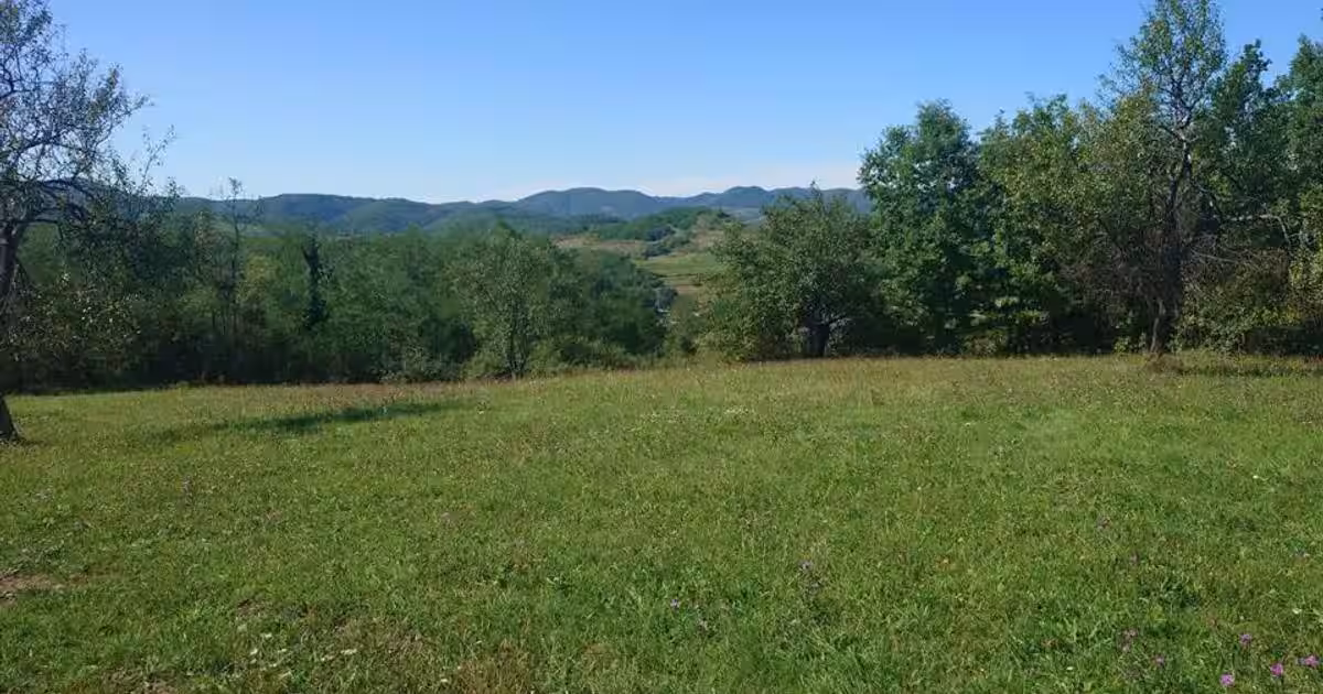 Teren Construcții intravilan de 8757 mp, în Luncoiu de Sus