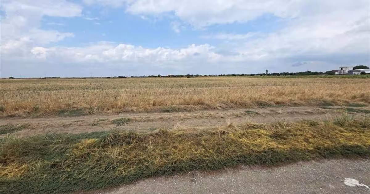 Teren Construcții intravilan de 22500 mp, în zona Central, Măgurele