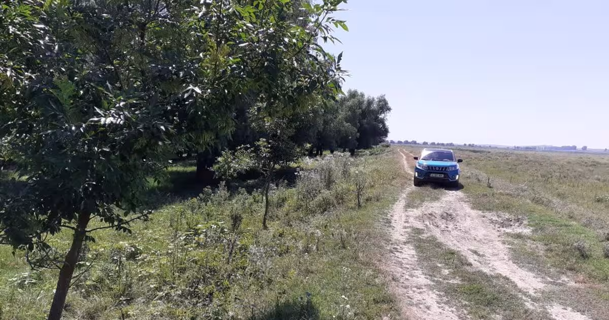Teren Construcții extravilan de 5000 mp, în Mahmudia