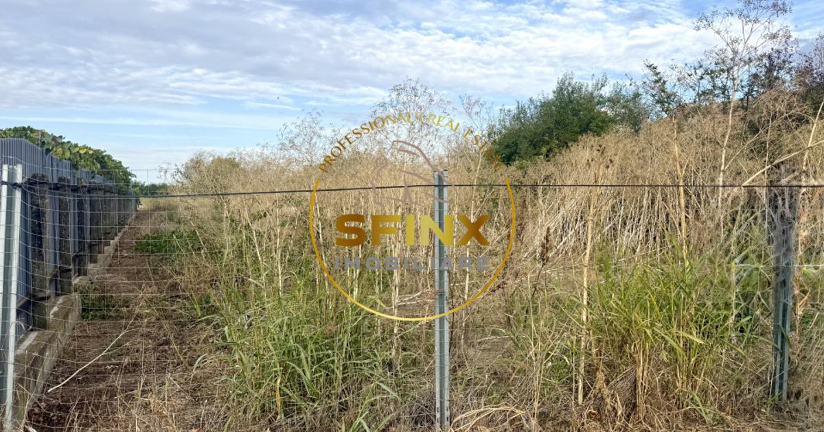 Teren Construcții intravilan de 3905 mp, în Manasia