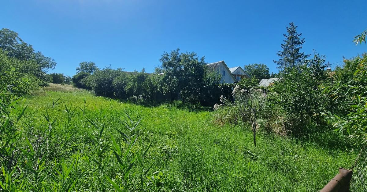 Teren Construcții intravilan de 2030 mp, în Mănăstirea Doamnei