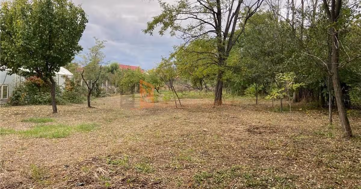 Teren Construcții intravilan de 1300 mp, în Mărăcineni