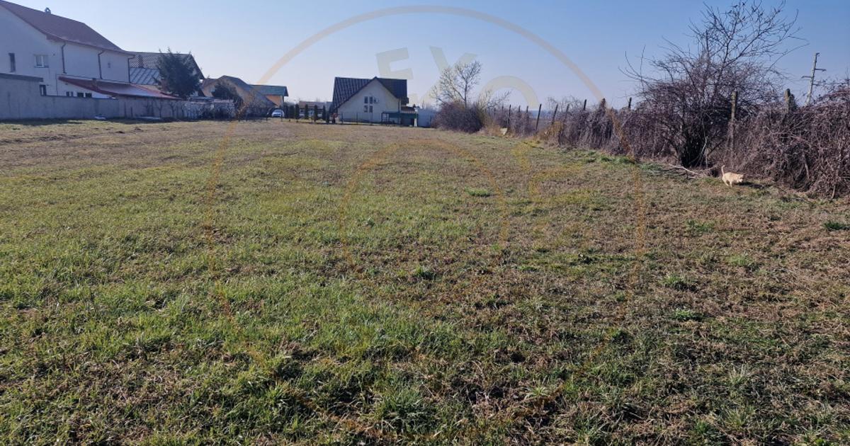 Teren Construcții intravilan de 2000 mp, în Mărăcineni