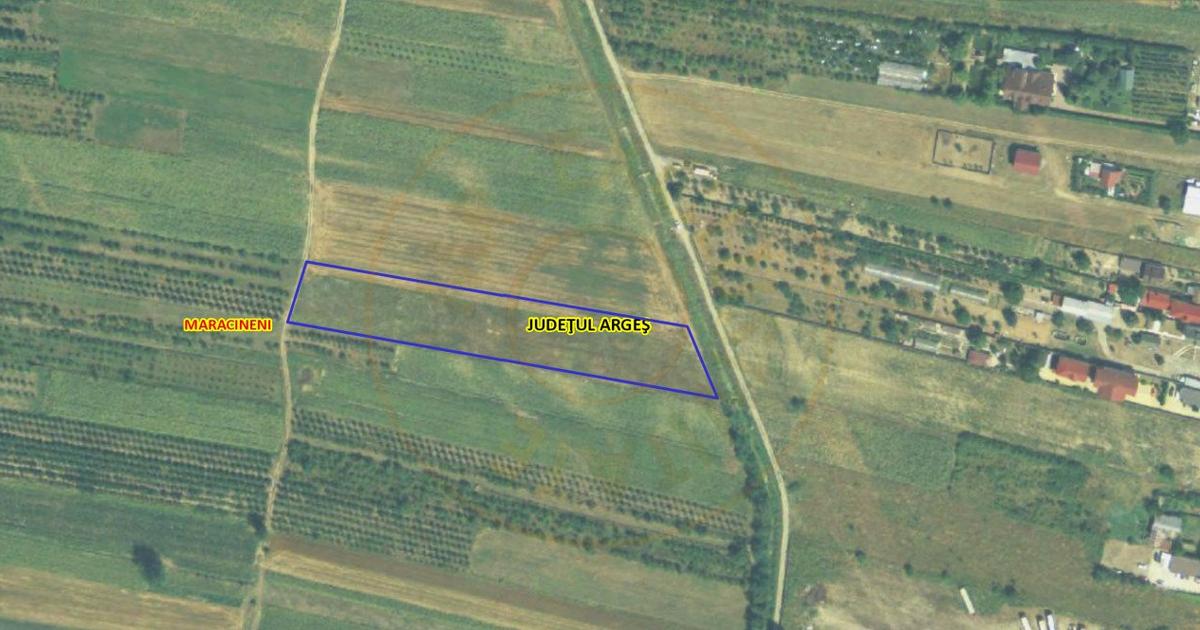 Teren Construcții intravilan de 7545 mp, în Mărăcineni