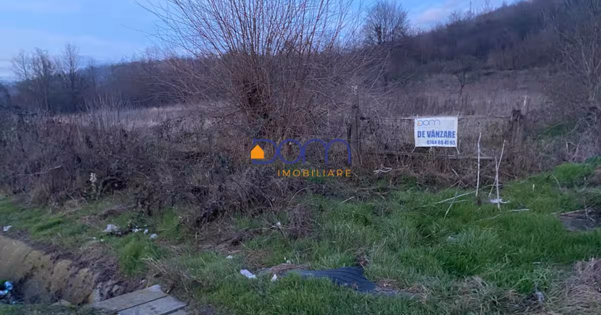 Teren Construcții intravilan de 4836 mp, în Mehadia