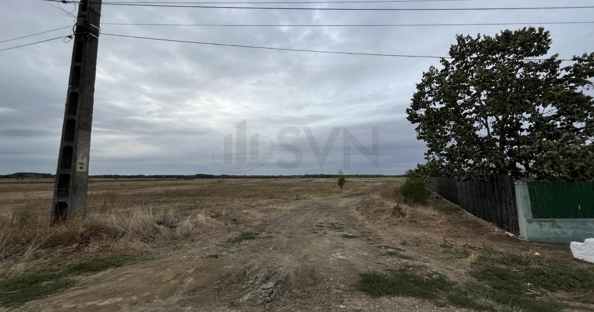 Teren Construcții intravilan de 1700 mp, în Merii