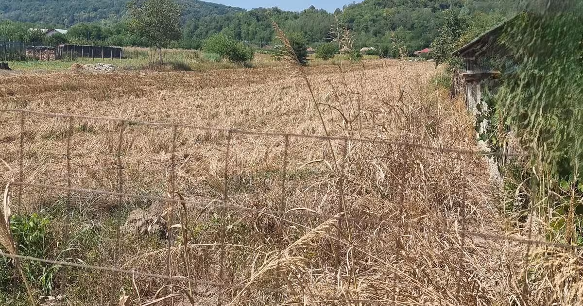 Teren Construcții intravilan de 5236 mp, în Mihăești