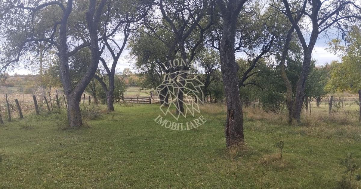 Teren Construcții intravilan de 1500 mp, în Mijlocenii Bârgăului