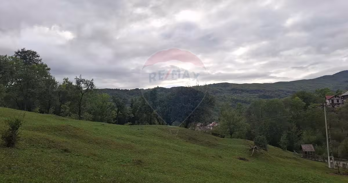 Teren Construcții intravilan de 4000 mp, în Moroeni