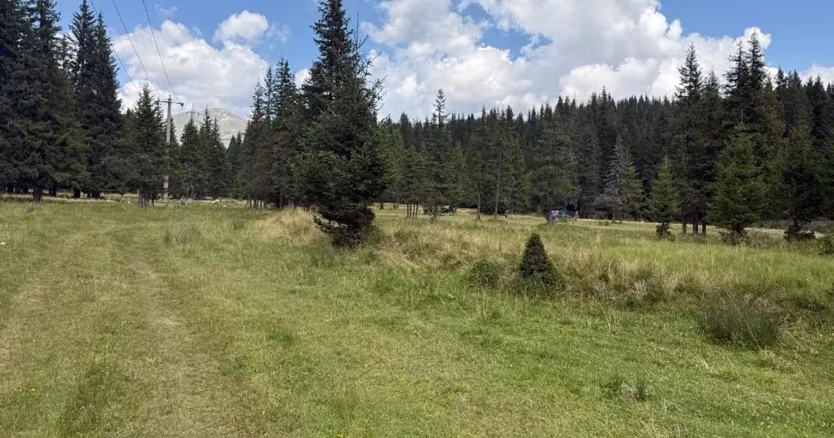 Teren Construcții intravilan de 5000 mp, în Moroeni