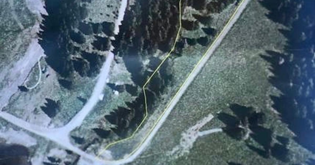 Teren Construcții intravilan de 5500 mp, în Moroeni