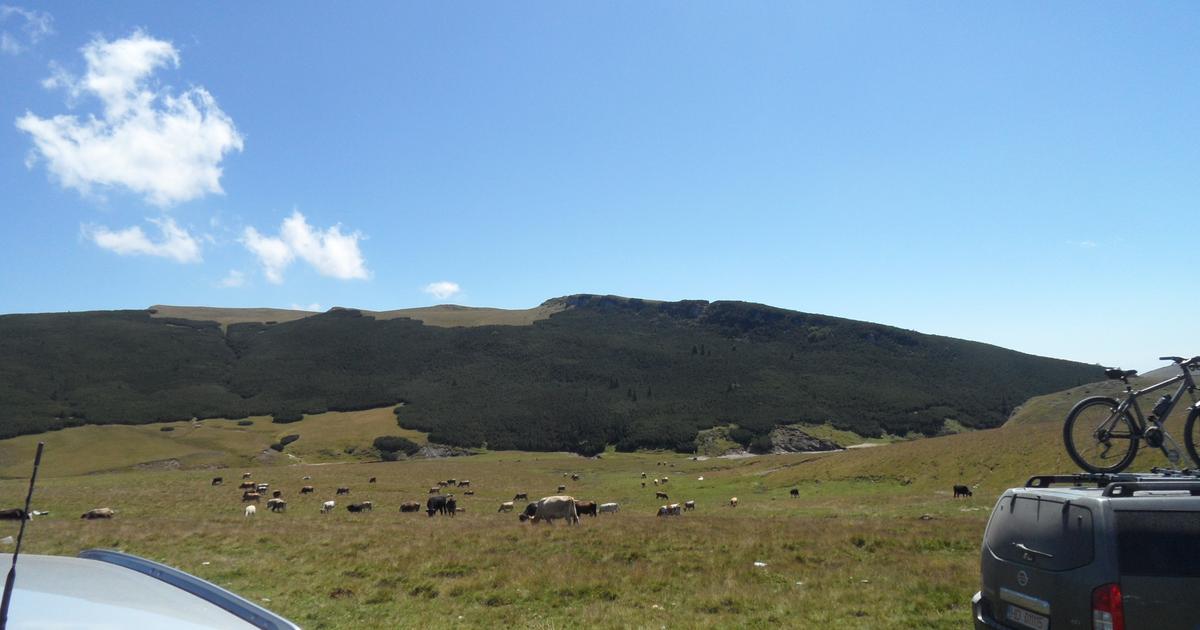 Teren Construcții intravilan de 61800 mp, în Moroeni