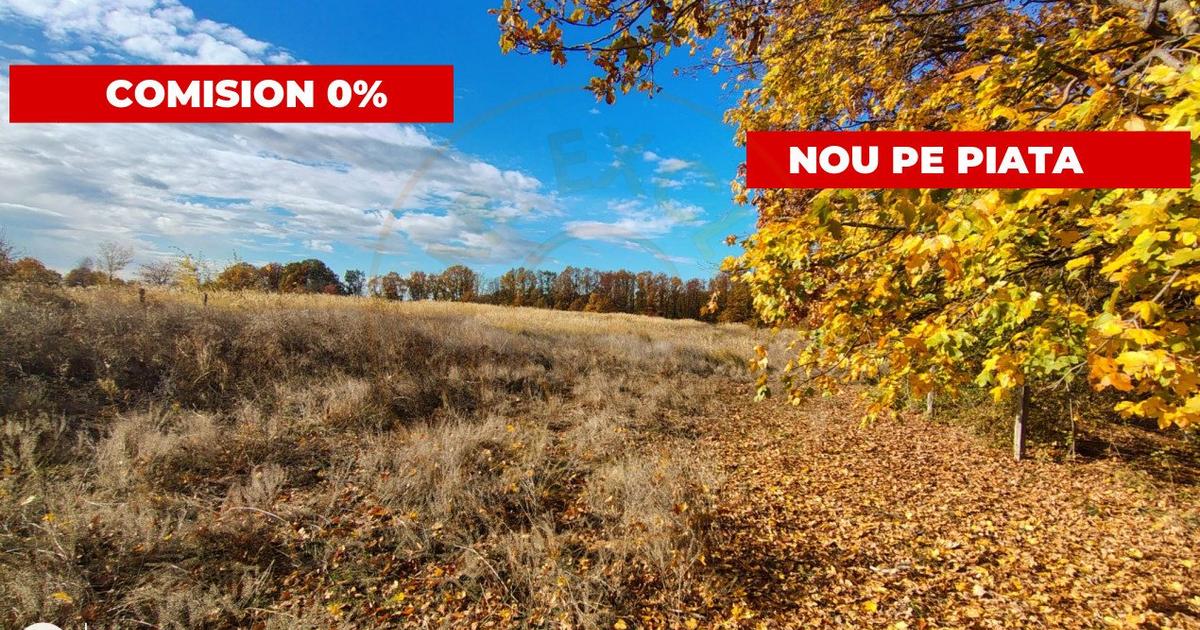 Teren Construcții intravilan de 10200 mp, în Moșoaia