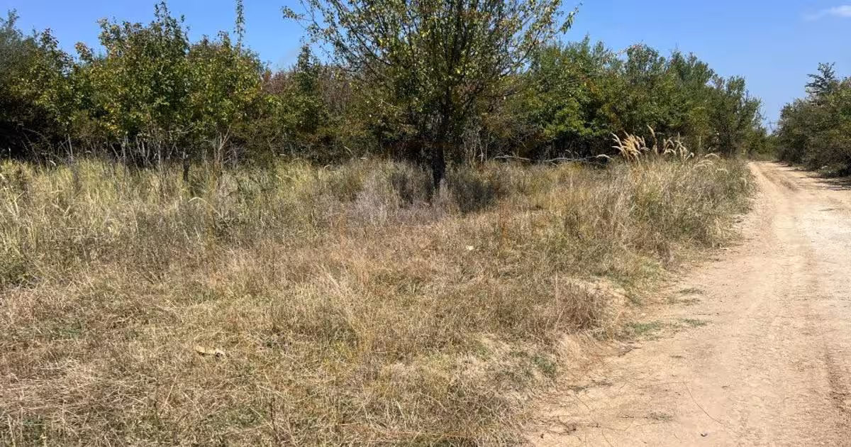 Teren Construcții intravilan de 5744 mp, în Moșoaia