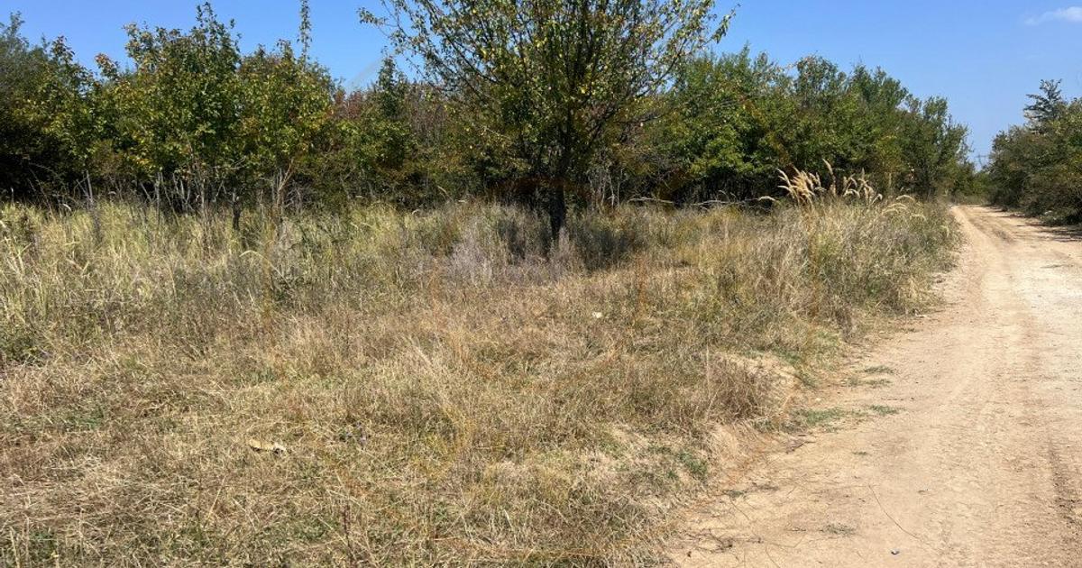 Teren Construcții intravilan de 5744 mp, în Moșoaia