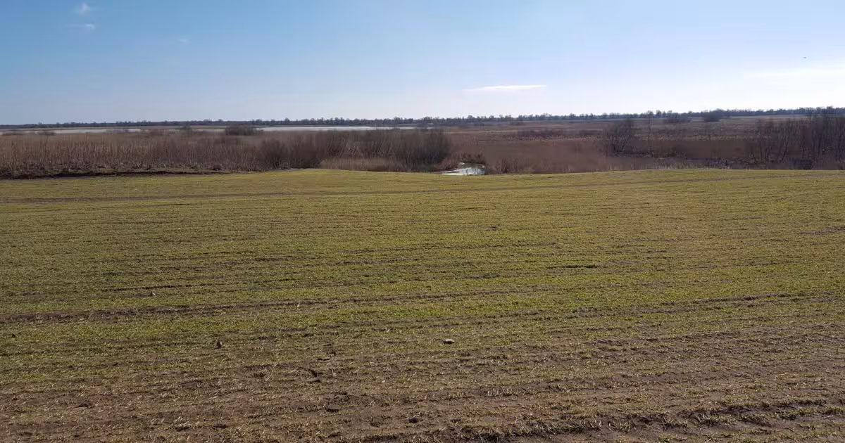 Teren Construcții extravilan de 20000 mp, în Murighiol