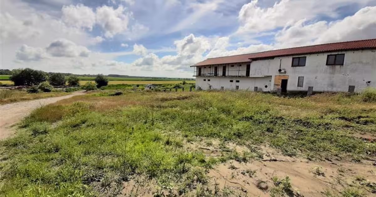 Teren Construcții intravilan de 2000 mp, în Murighiol
