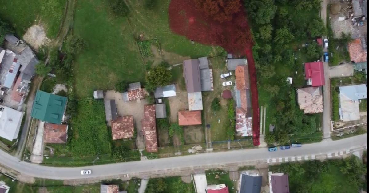 Teren Construcții intravilan de 4380 mp, în Nicolaești