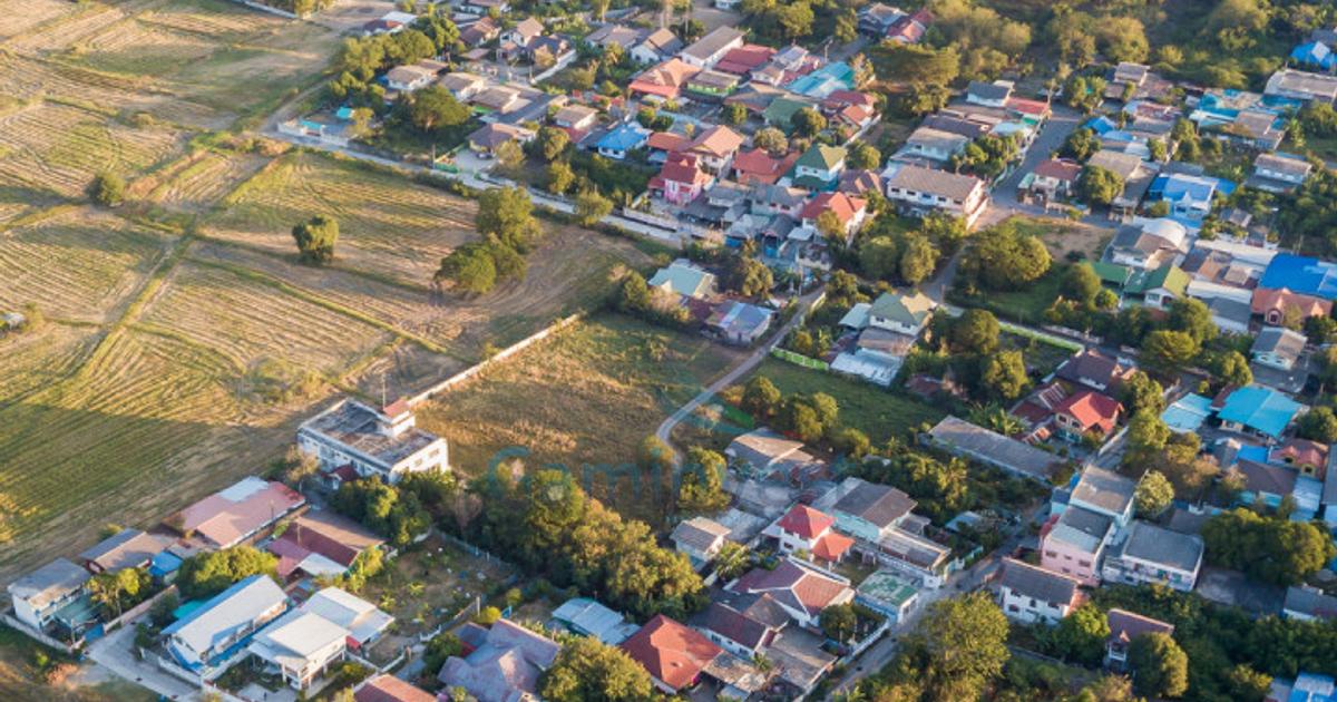 Teren Construcții intravilan de 20000 mp, în Nojorid