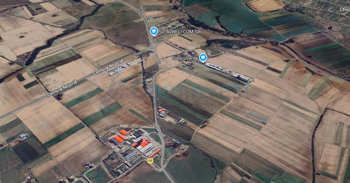 Teren Construcții de 8690 mp, în Nojorid