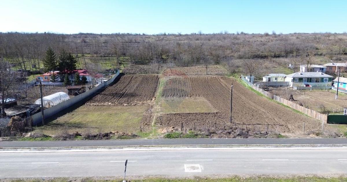 Teren Construcții intravilan de 5313 mp, în Odaia Manolache