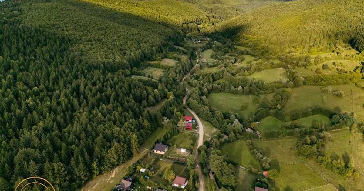 Teren Construcții extravilan de 4800 mp, în Ojdula