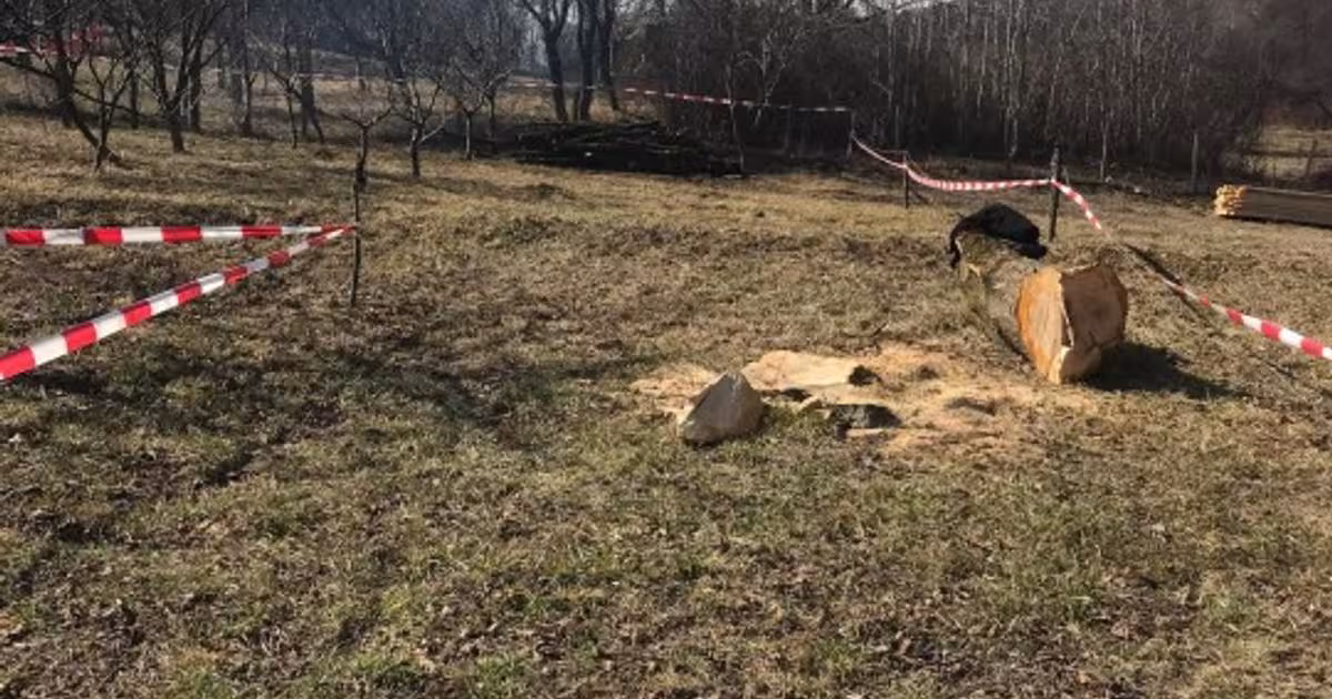 Teren Construcții intravilan de 715 mp, în Olănești
