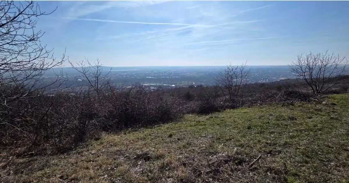 Teren Construcții intravilan de 6900 mp, în zona Dealuri Oradea, Oradea