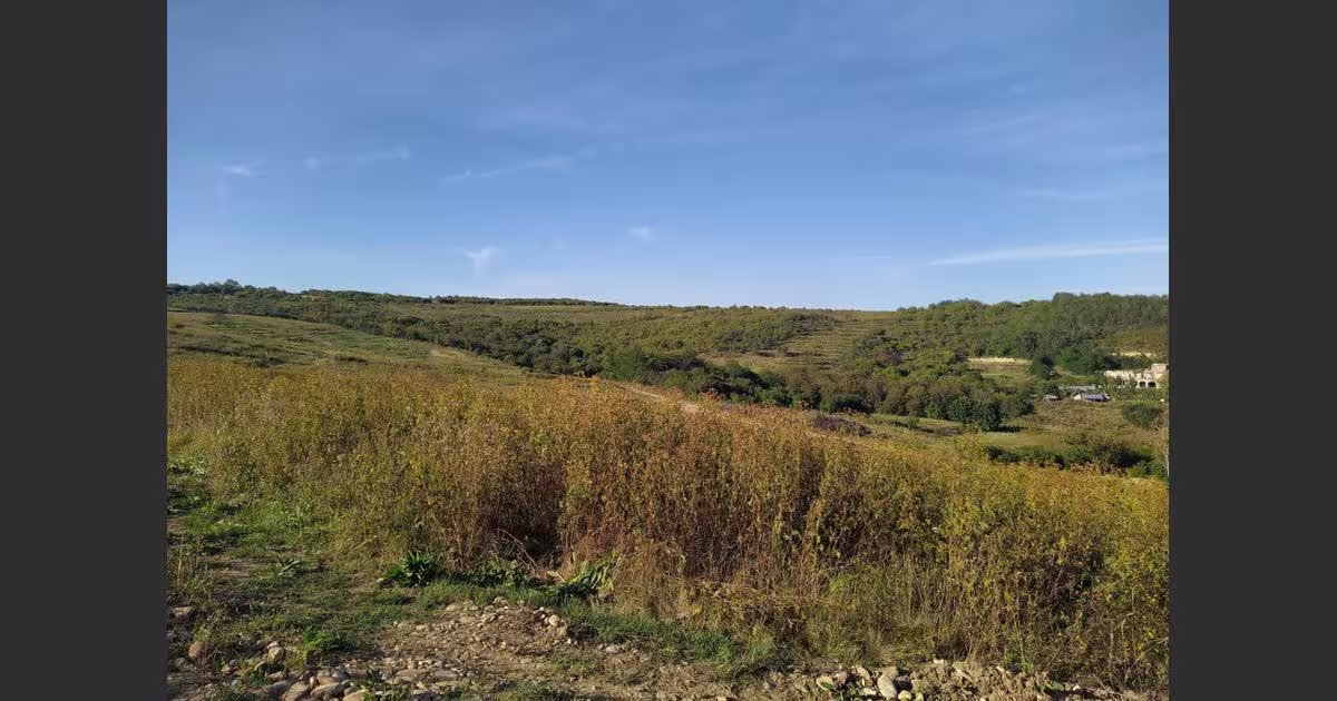Teren Construcții extravilan de 11050 mp, în zona Orașul Nou, Oradea