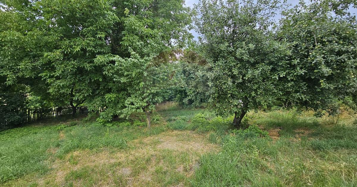 Teren Construcții intravilan de 2036 mp, în Pădureni (Șendriceni)