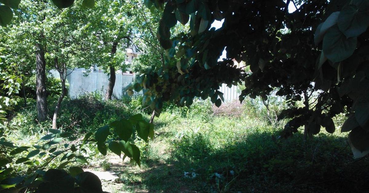 Teren Construcții intravilan de 2059 mp, în Pădurișu