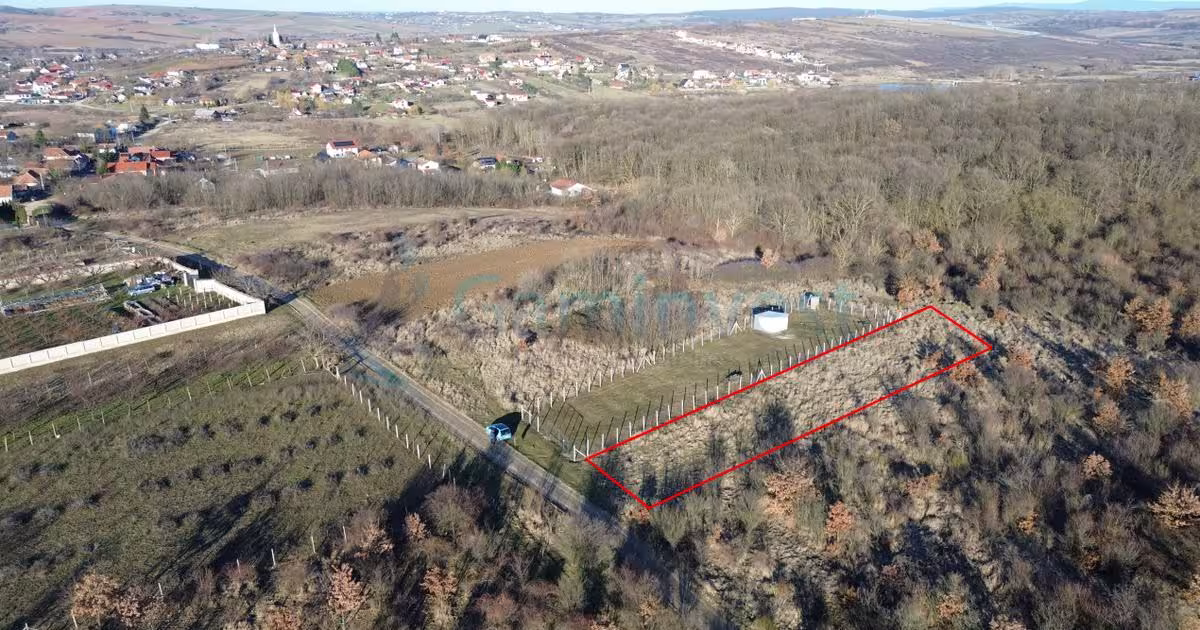 Teren Construcții intravilan de 2555 mp, în Paleu