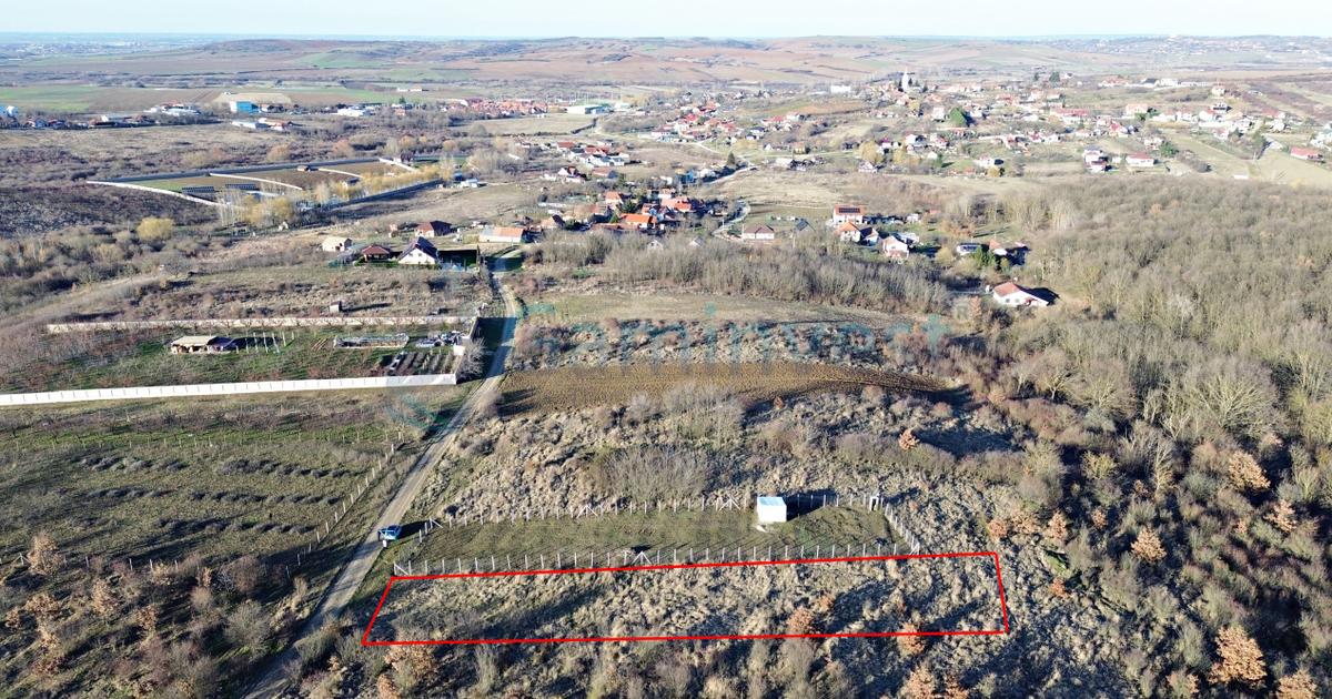 Teren Construcții intravilan de 2555 mp, în Paleu